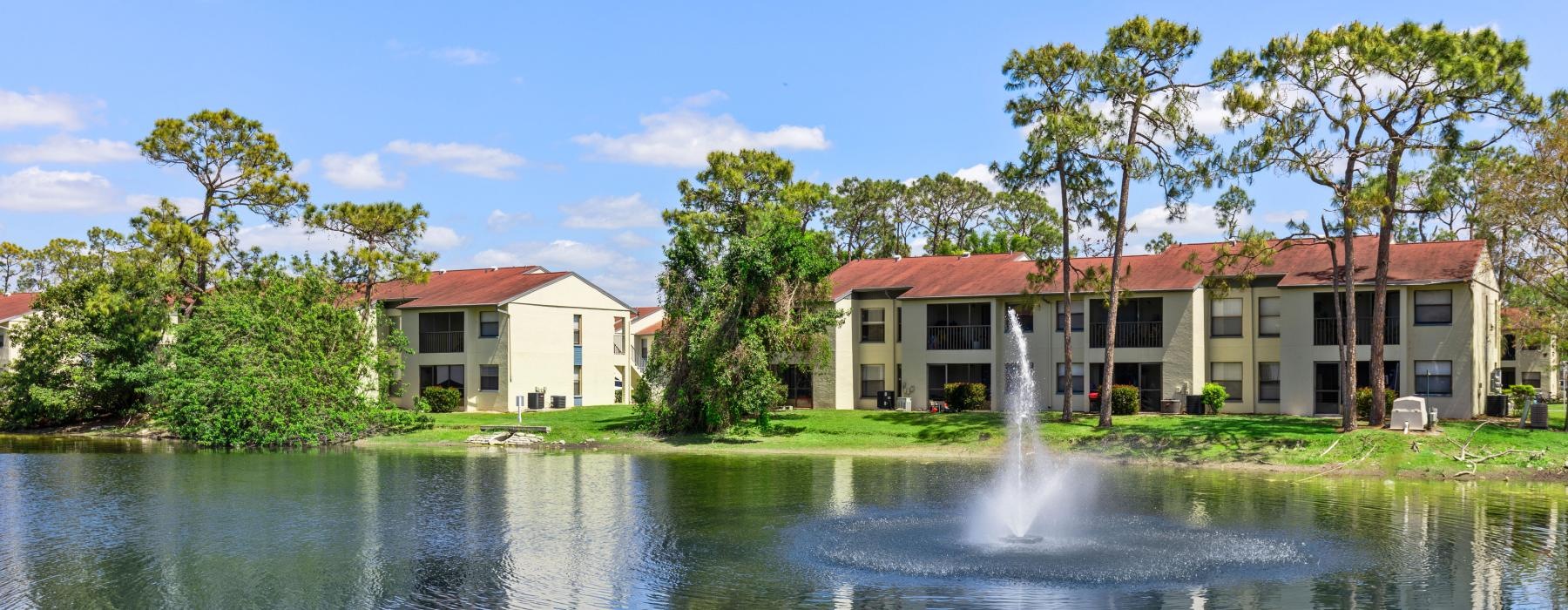 a fountain in a pond